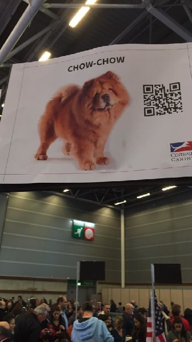 du Paradis Slave - SALON DE L AGRICULTURE 2016