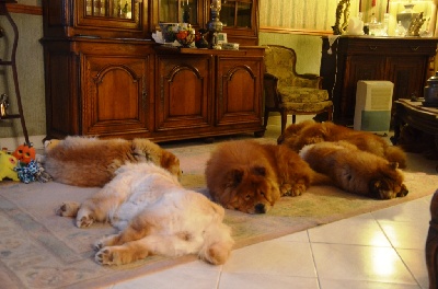 du Paradis Slave - MA FAMILLE CHOW
